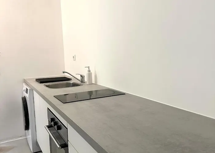 T2 Renove Avec Terrasse En Hyper Centre De Ντιζόν