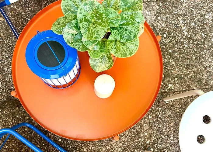 Appartement T2 Renove Avec Terrasse En Hyper Centre De