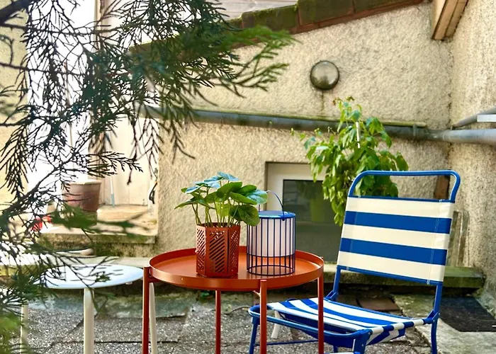 T2 Renove Avec Terrasse En Hyper Centre De Digione